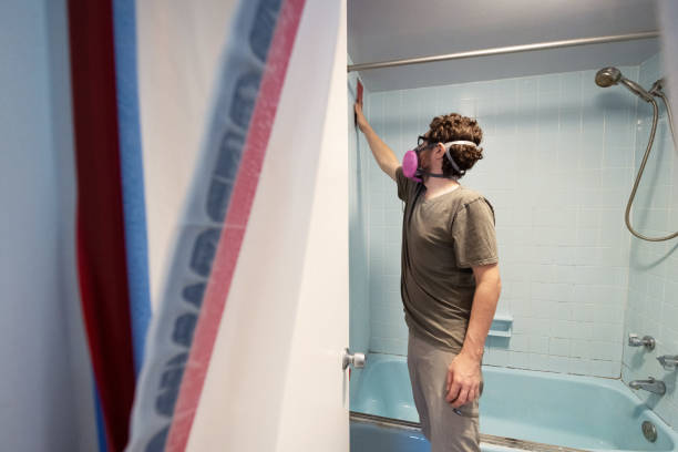 Mold Documentation for Insurance Claims in Moosup, CT