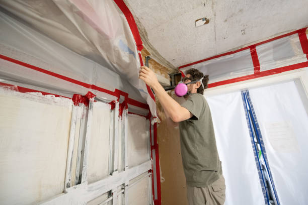 Best Water Damage & Mold Remediation  in Moosup, CT