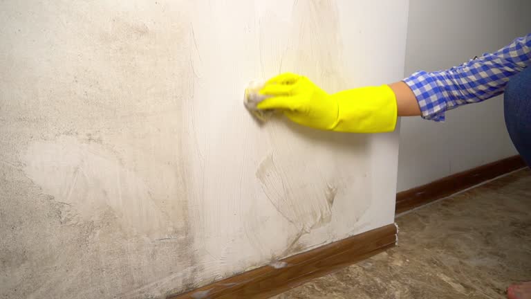 Best Post-Construction Mold Inspection  in Moosup, CT