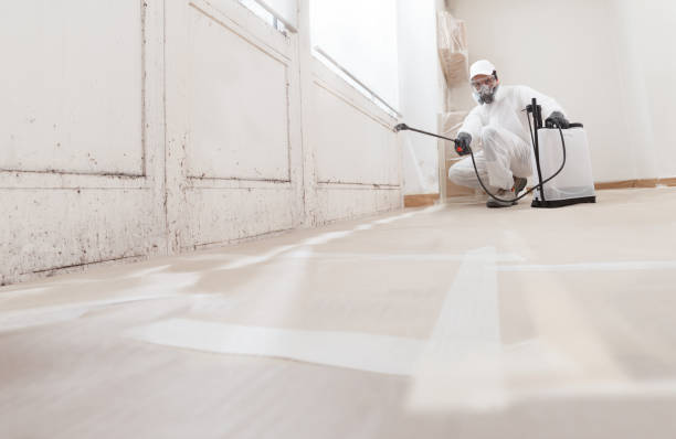 Best Mold Removal for HVAC Installations  in Moosup, CT