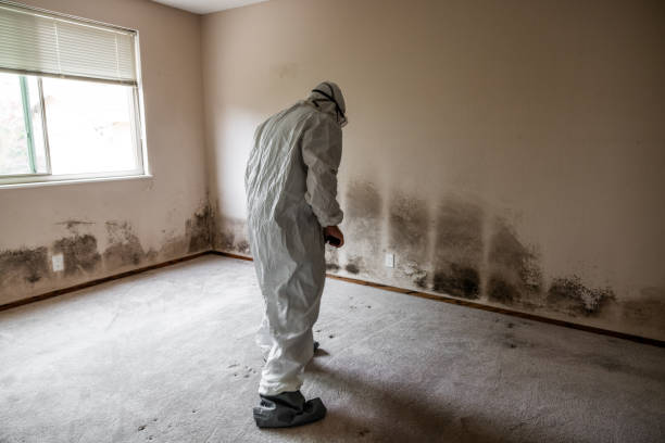 Best HVAC Mold Inspection and Cleaning  in Moosup, CT
