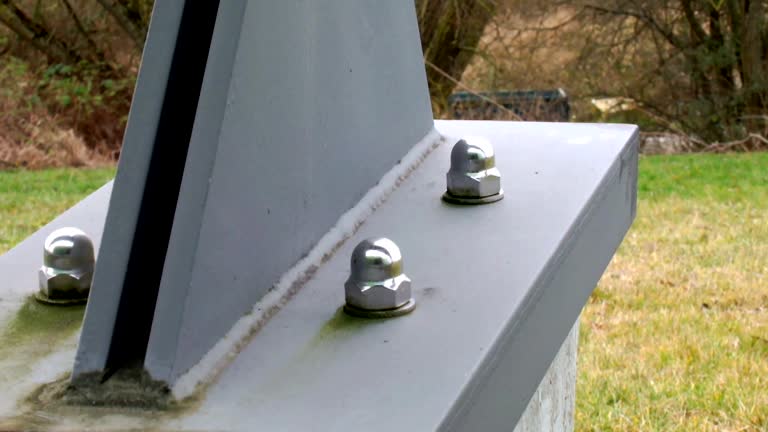 Best Forensic Mold Investigation  in Moosup, CT